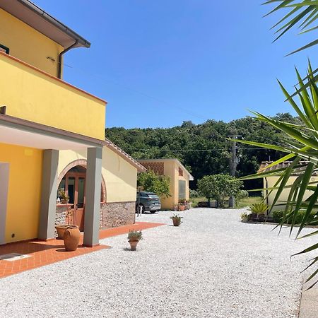 Il Leccio Agriturismo Fiorino Ngoại thất bức ảnh