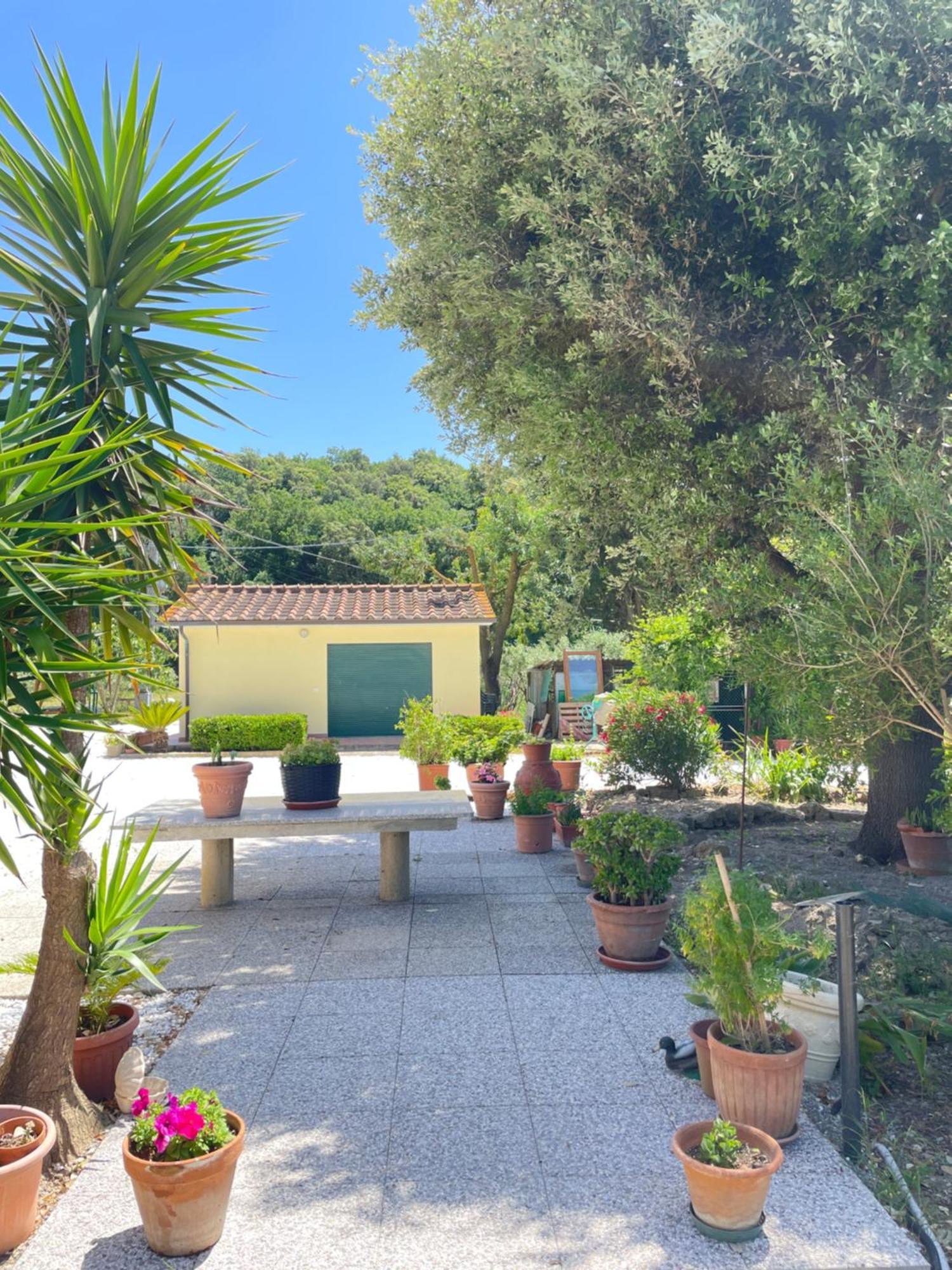 Il Leccio Agriturismo Fiorino Ngoại thất bức ảnh