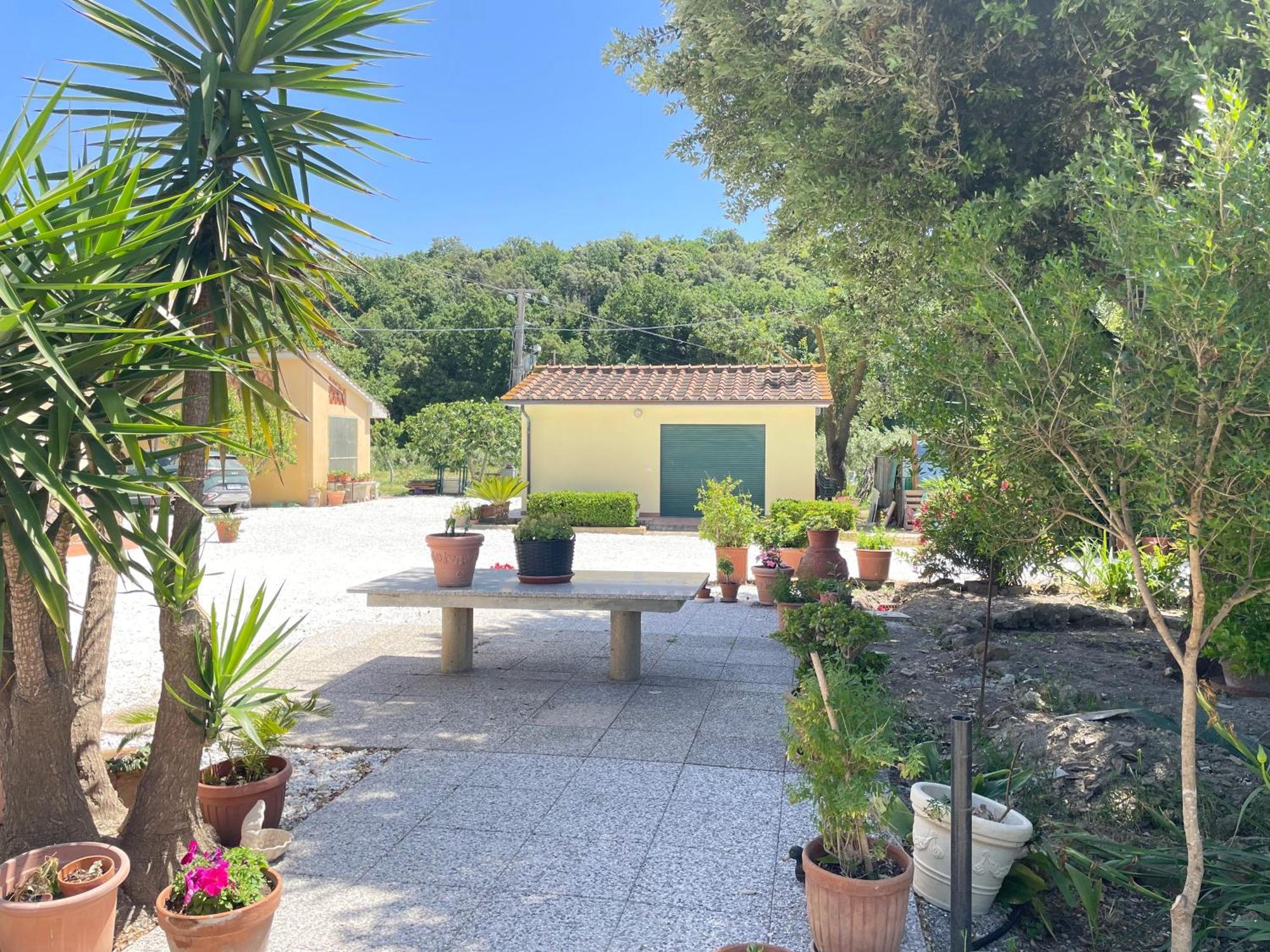 Il Leccio Agriturismo Fiorino Ngoại thất bức ảnh