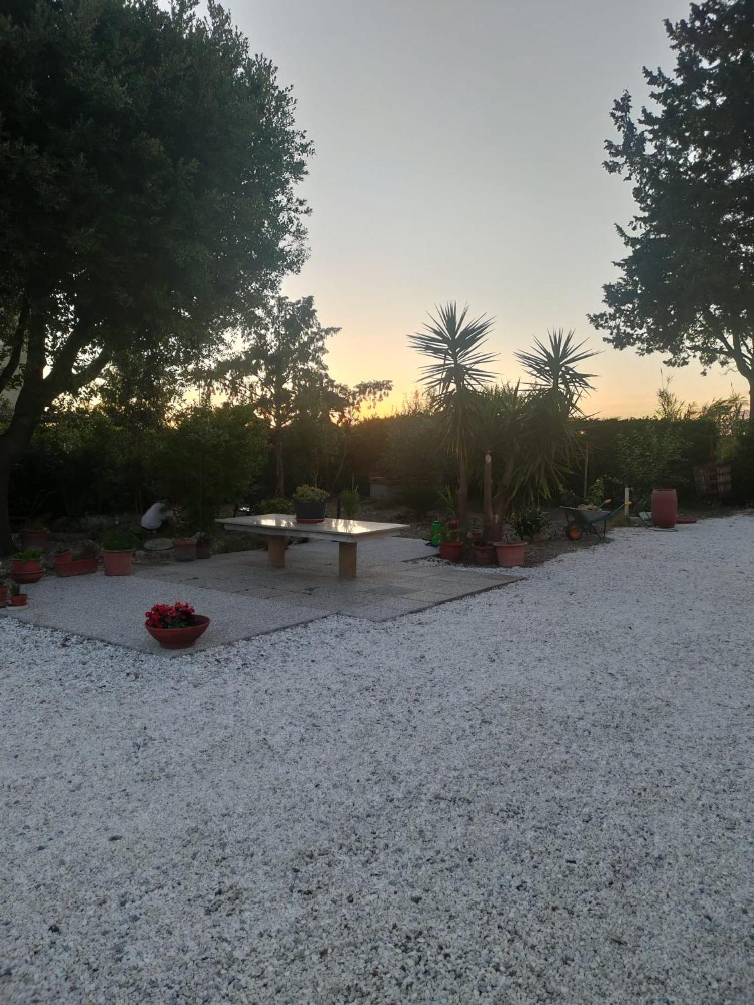 Il Leccio Agriturismo Fiorino Ngoại thất bức ảnh