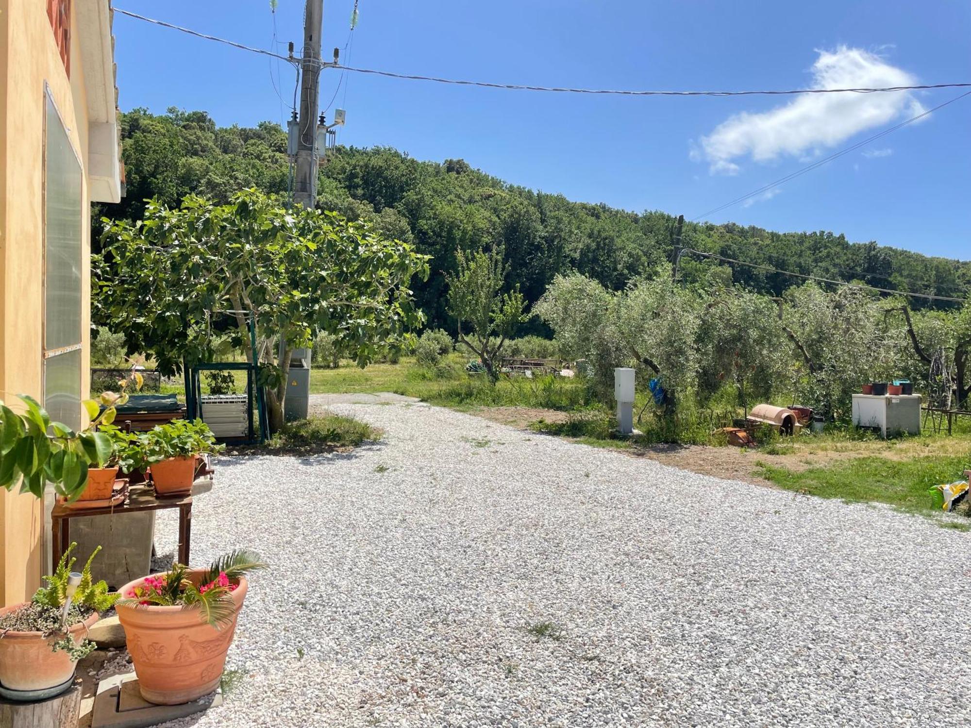 Il Leccio Agriturismo Fiorino Ngoại thất bức ảnh