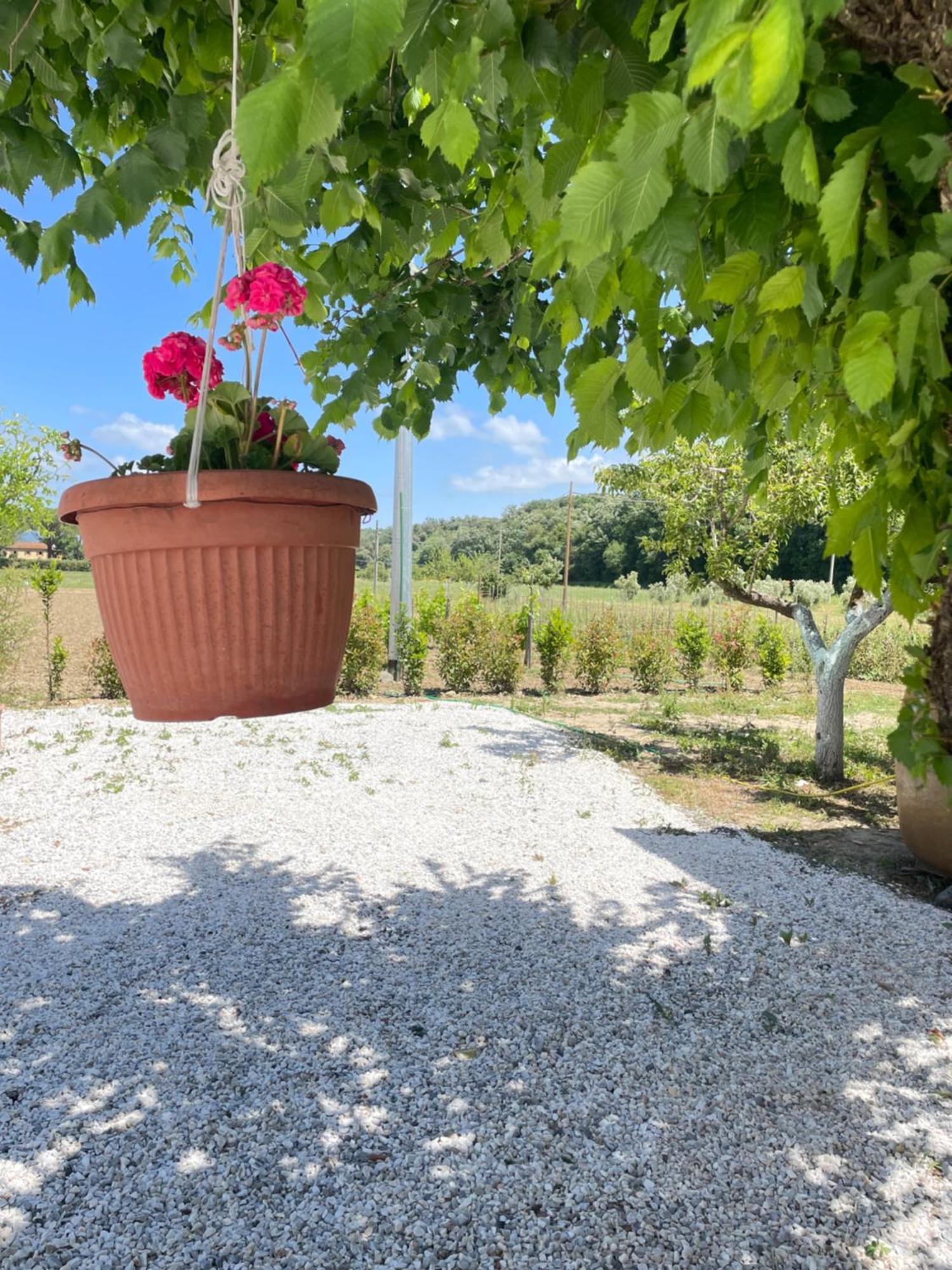 Il Leccio Agriturismo Fiorino Ngoại thất bức ảnh