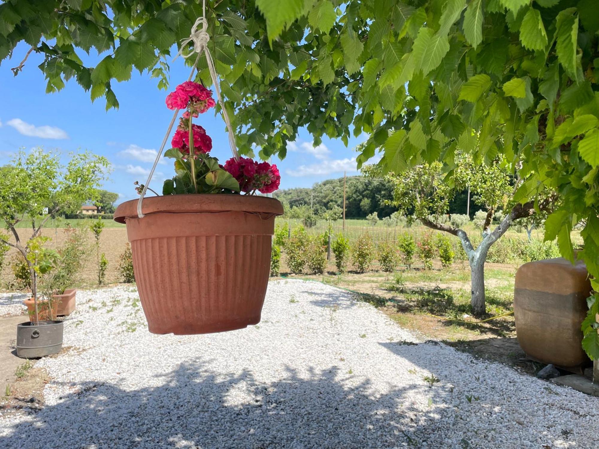Il Leccio Agriturismo Fiorino Ngoại thất bức ảnh