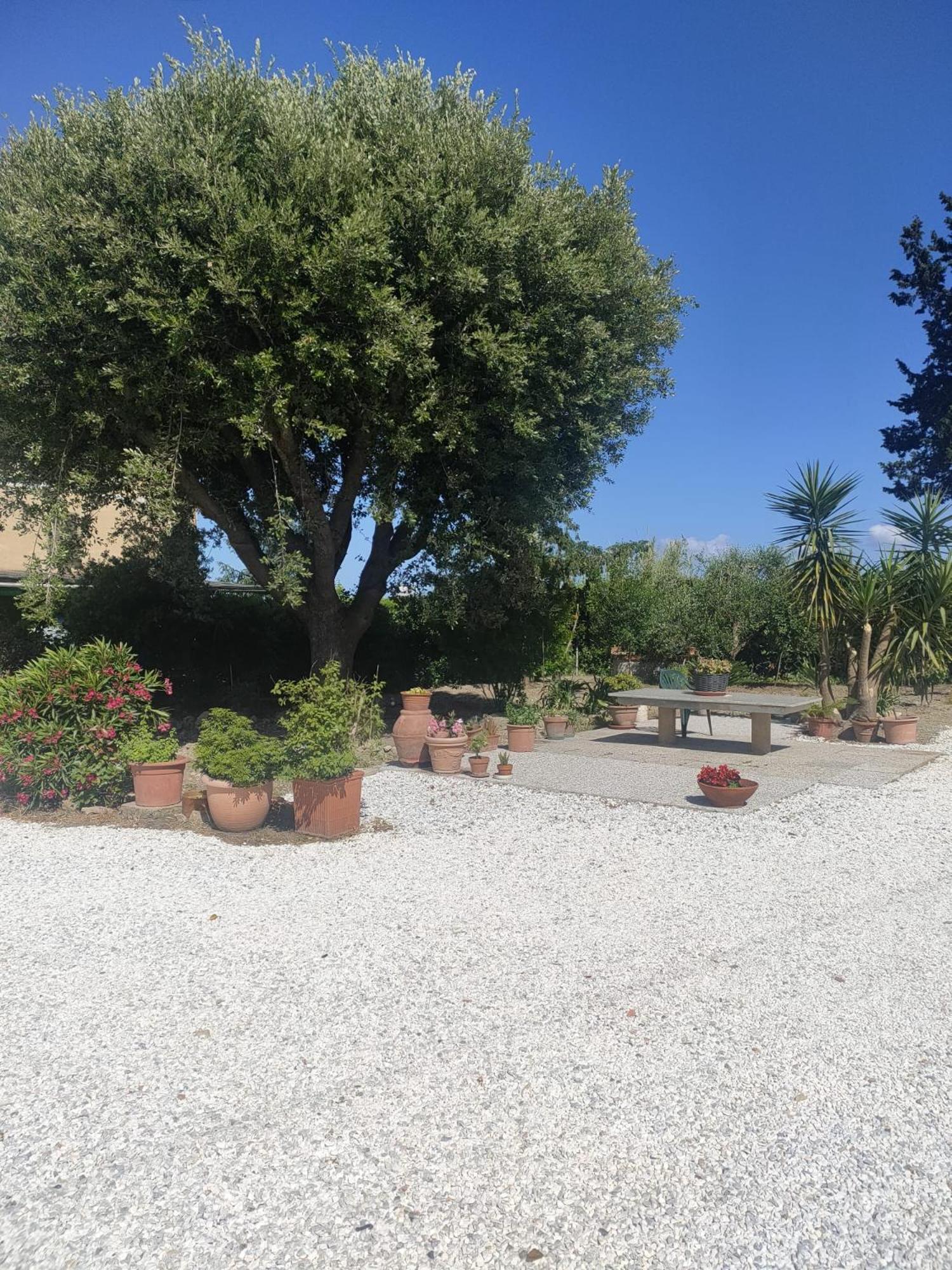 Il Leccio Agriturismo Fiorino Ngoại thất bức ảnh