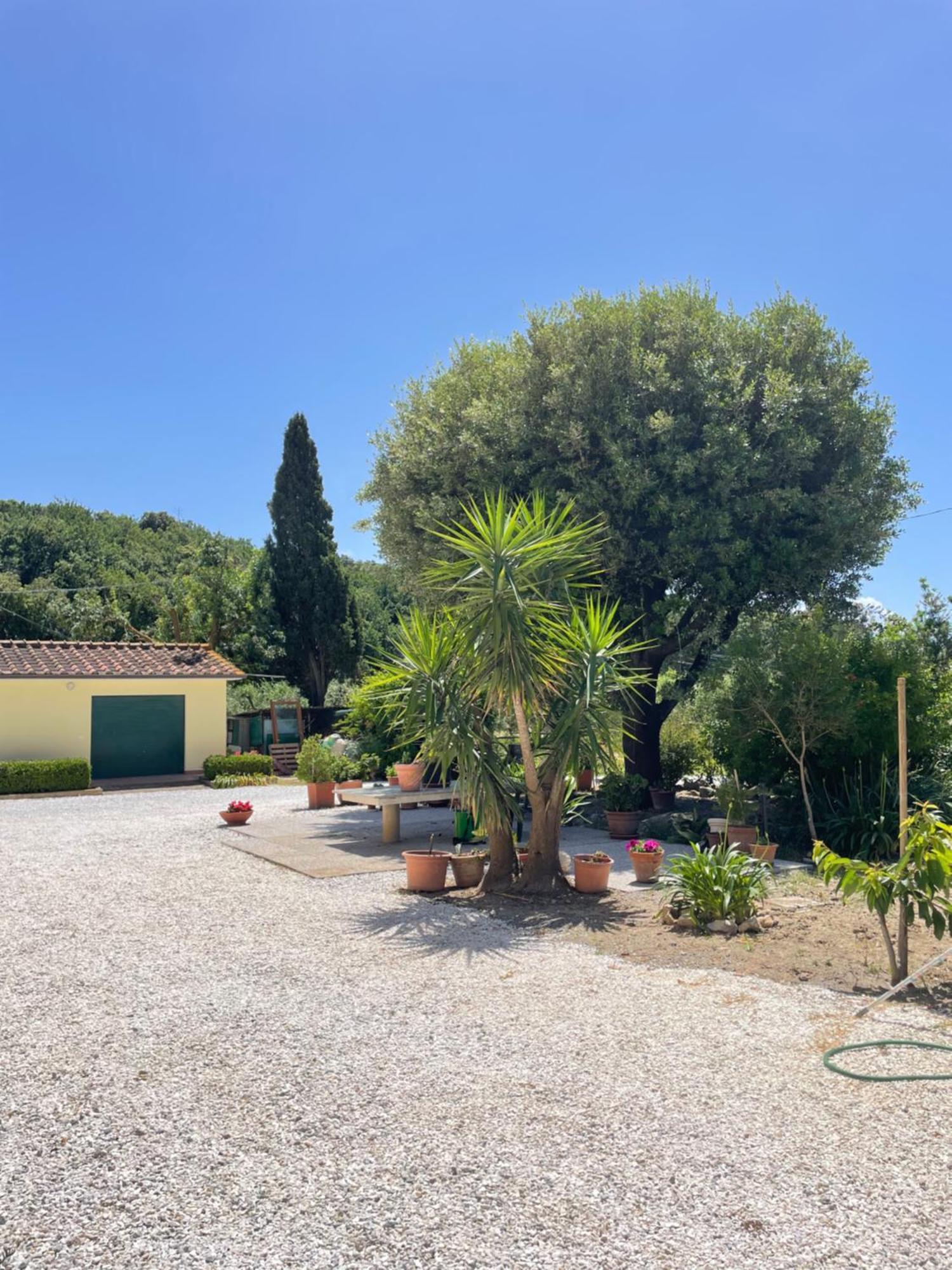 Il Leccio Agriturismo Fiorino Ngoại thất bức ảnh