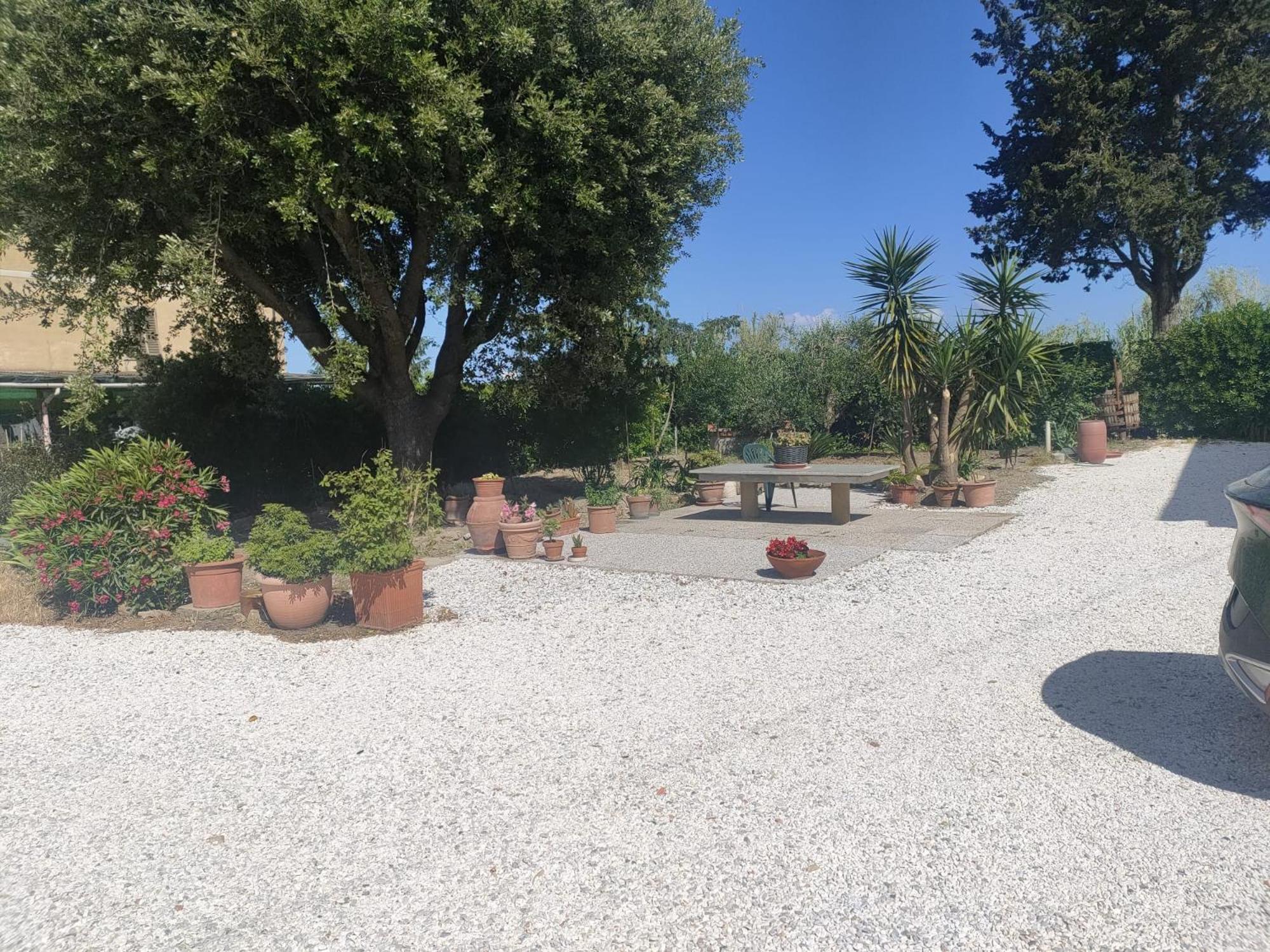 Il Leccio Agriturismo Fiorino Ngoại thất bức ảnh