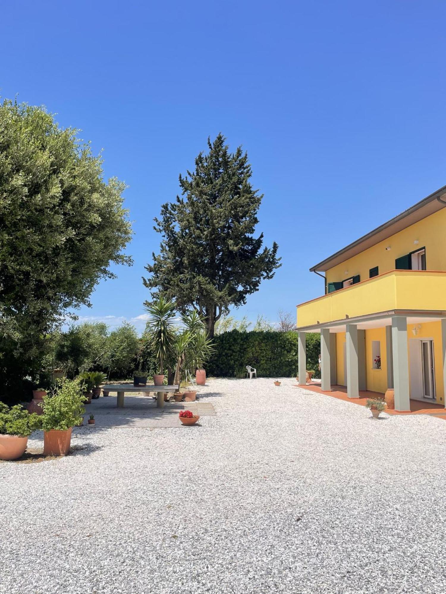 Il Leccio Agriturismo Fiorino Ngoại thất bức ảnh